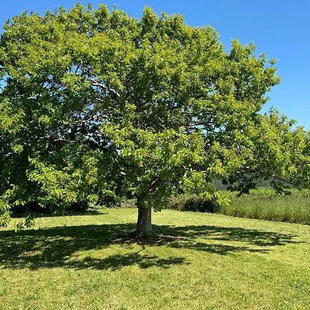 Vieitas De Arriba بيت للعطل *